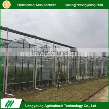 High quality glass shading green houses agriculture commercial