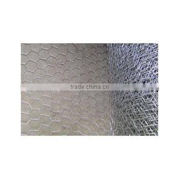 Hot Sale Hexagonal Wire Netting photo-2