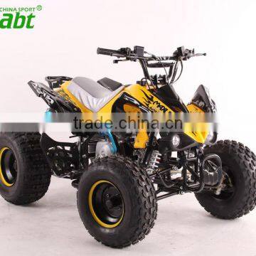 110cc/125cc Atv Quad Bike With 8 Inches Tire go Kart Utv 4 Wheel Motorcycle photo-1