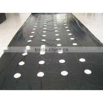 agriculture mulch film with hole