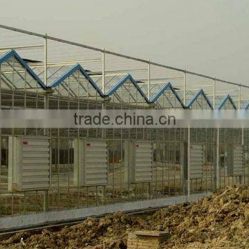 Commercial Greenhouse for Agriculture photo-4