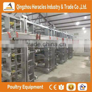 High Quality Chicken Farm Automatic Layer Poultry Equipment Chicken Cage for Sale photo-4