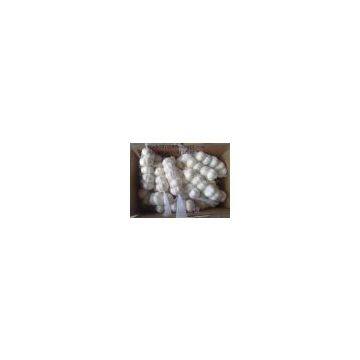 China White Garlic