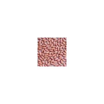 Chinese Peanut Kernels photo-3
