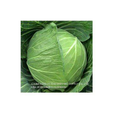 LANBEI LANQIAO PORT SHIP CHANDLER SHIPCHANDLER IN CHINA photo-5