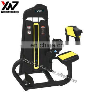 Gym equipment back extension for strength training