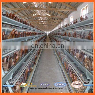 High Quality Broiler Battery Cage/Layer Chicken Battery Cage/Automatic Poultry Layer Cages System photo-4
