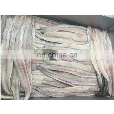 eel fillet frozen conger eel fish fillet