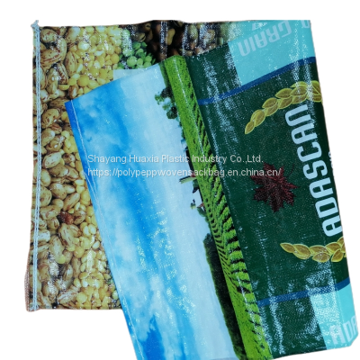 Knit Weaving 10Kg 25Kg Agriculture New Polypropylene Material PP Woven Mesh Bag for Packing Fruit Vegetables photo-4