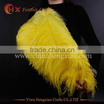 China factory wholesale ostrich feather from south africa