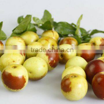 Automatic Brush Date Cleaning Machine|Ginger Washer and Cleaner Machine photo-6