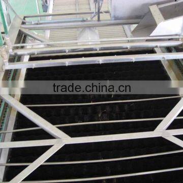 Industrial Brush fruit washing Machine manufactured in Wuxi Kaae