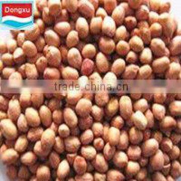 Chinese Peanut 50/60