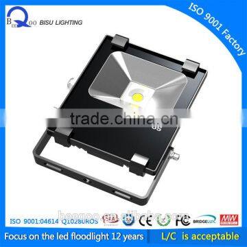 10W led outdoor flood light with Meanwell driver factory price