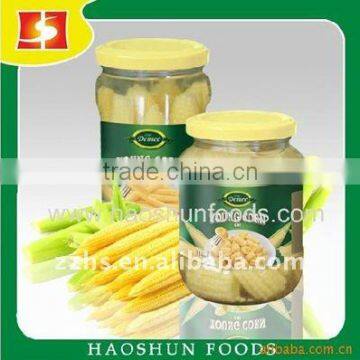 Canned Baby Corn