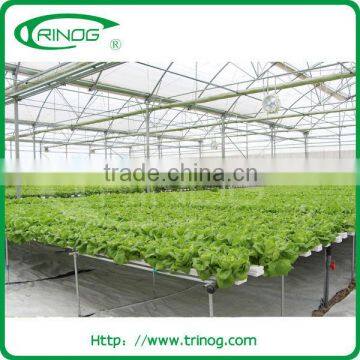 High tech hydroponics greenhouse for sale