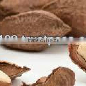 BRAZIL NUTS - CHESTNUTS