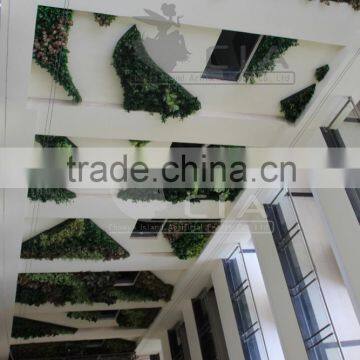 Hot Sale Hotel Project Artificial Plant Green Wall photo-5