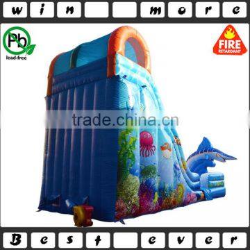 Big Fish Attack Outdoor Sports Equipment Air Trampoline Prices, Adult and Baby Inflatable Used Water Slide for Sale photo-5