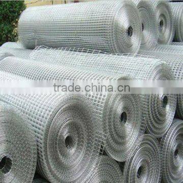 Galvanized Welded Wire Mesh in Coil(manufacturer)