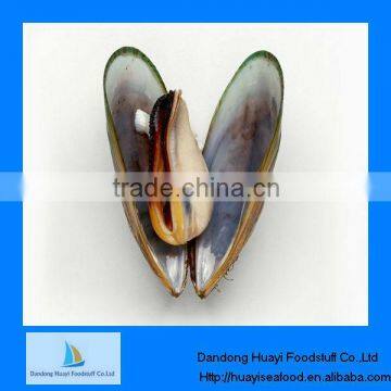 best quality iqf mussel meat 200-300