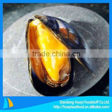 high quality cooking frozen half shell mussels