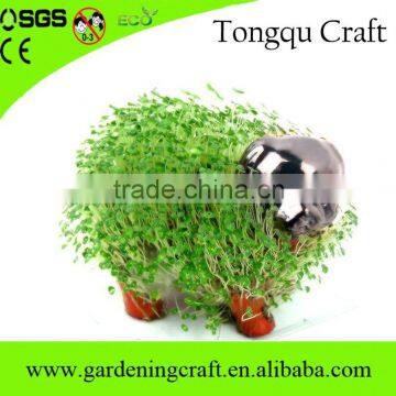 Best Selling Christmas Gifts 2016 Chia Pet Promotional Gifts 2015 Handmade Gifts photo-6