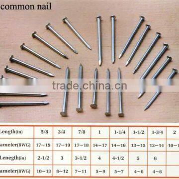 1/2" - 8" wood wire nails