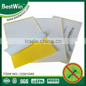BSTW MSDS Certification long lasting flying sticky insect trap                        
                                                Quality Choice