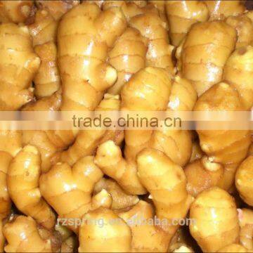 Chinese High Quality Fresh Ginger