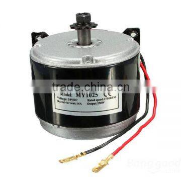 DC 24V Electric Motor Brushed 250W 2750RPM 2-Wired Chain For E-Bike Scooter