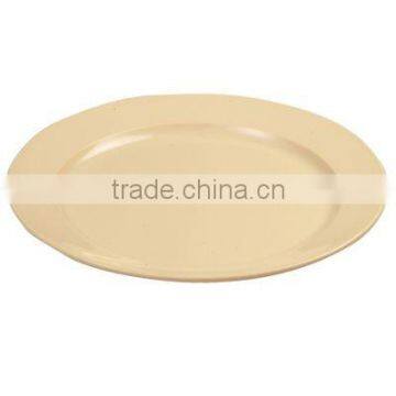 Plastic Plate