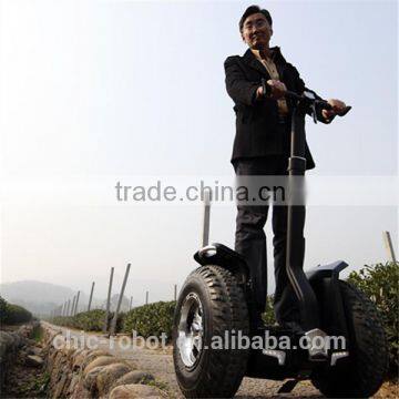 Hot Sell Cheep off Road Electric Scooter for Sale photo-2