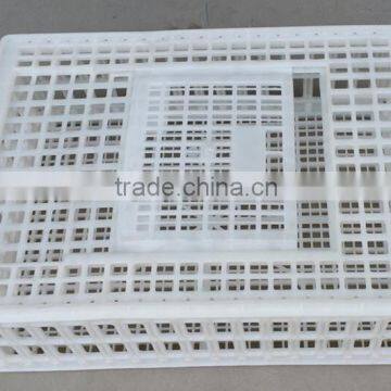 Transport Cage for Chicken/ 100$ Pure Plastic Poultry Transport Cage/Agricultural Plastic Crates for Chicken Transportation