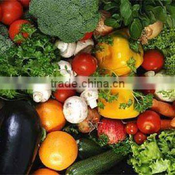 Best Quality Fresh Vegetables From Pakistan