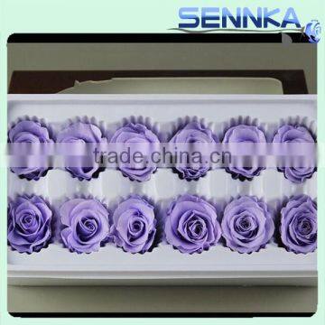 Factory Export High Quality Fresh Preserved Rose Flower From China photo-4