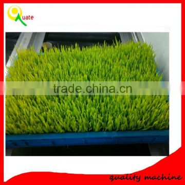 Fodder sprouting machine/hydroponic fodder machine for cattle,rabbit,sheep,horse