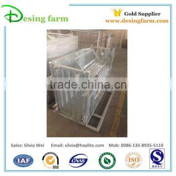 Sheep Livestock Farming Equipment photo-3
