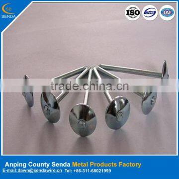 Polished Umbrella Head Iron Nails/ Roofing Nails photo-2