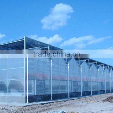 Mushroom Polycarbonate Greenhouse Material photo-3
