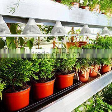 Amazon Best Seller Red/blue 36W IP68 Waterproof High Output Led Indoor Plant Grow Light E27 Base photo-5