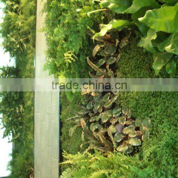 Home and Outdoor Decoration Synthetic Cheap Artificial Vertical Green Grass Wall E08 04R37 photo-5