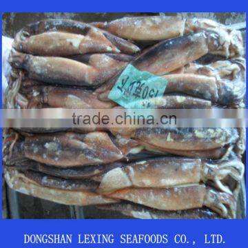 Seafood Frozen Illex Argentinus Squid