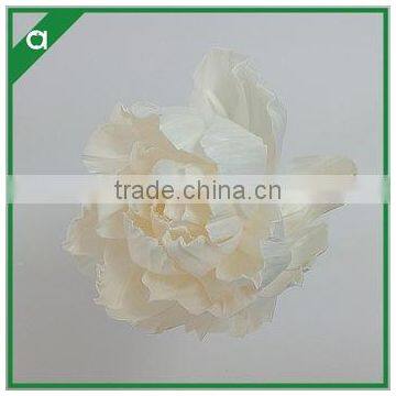 Dried Sola Flower From China Supplier photo-3