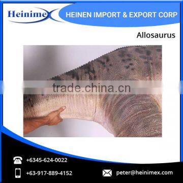 Huge Size Jurassic Park Dinosaur Allosaurus for Sale photo-3