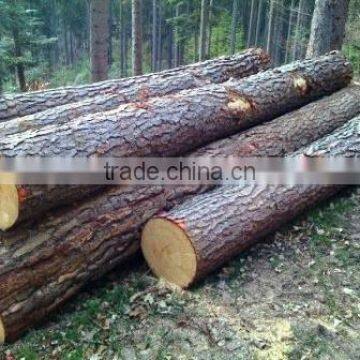 Pine Logs