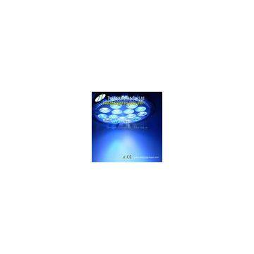 2012 Hot Sale 15w High Quality Led Spotlight 15x1w for Your Fish Tank