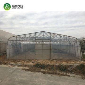 Top quality China manufacturer single span polyethylene film greenhouses