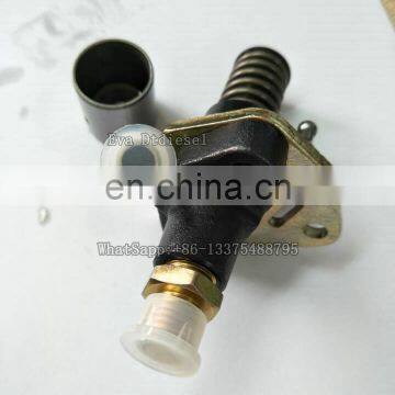 186f Pump Plunger Assay