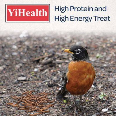 Dried Mealworms Powder-YiHealth Pets